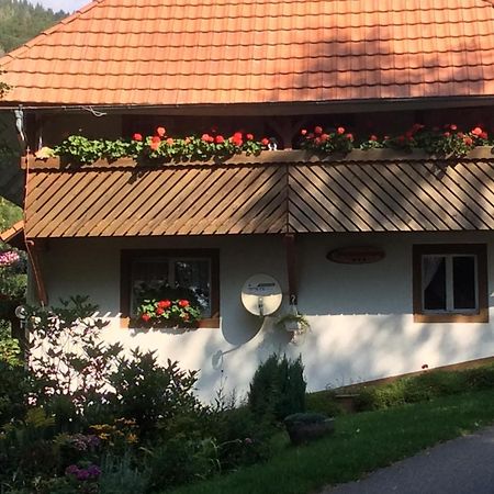Ferienwohnung Zweilinden Steinen  Exterior foto