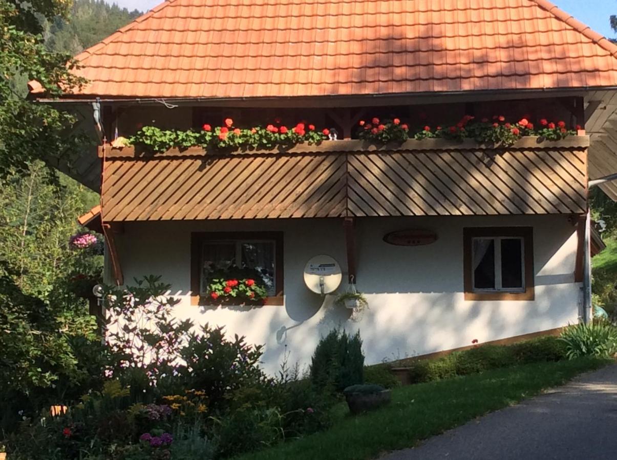 Ferienwohnung Zweilinden Steinen  Exterior foto