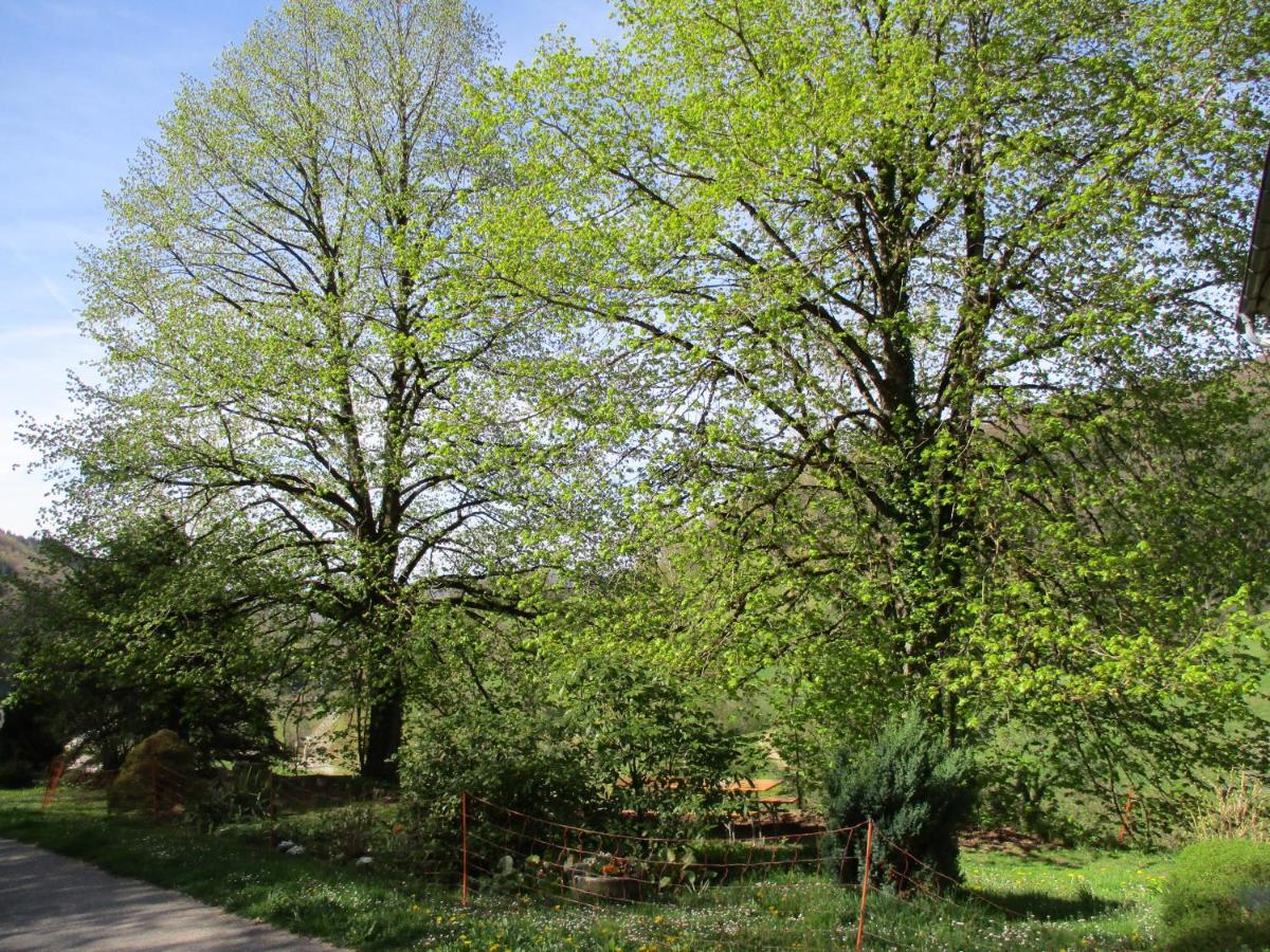 Ferienwohnung Zweilinden Steinen  Exterior foto